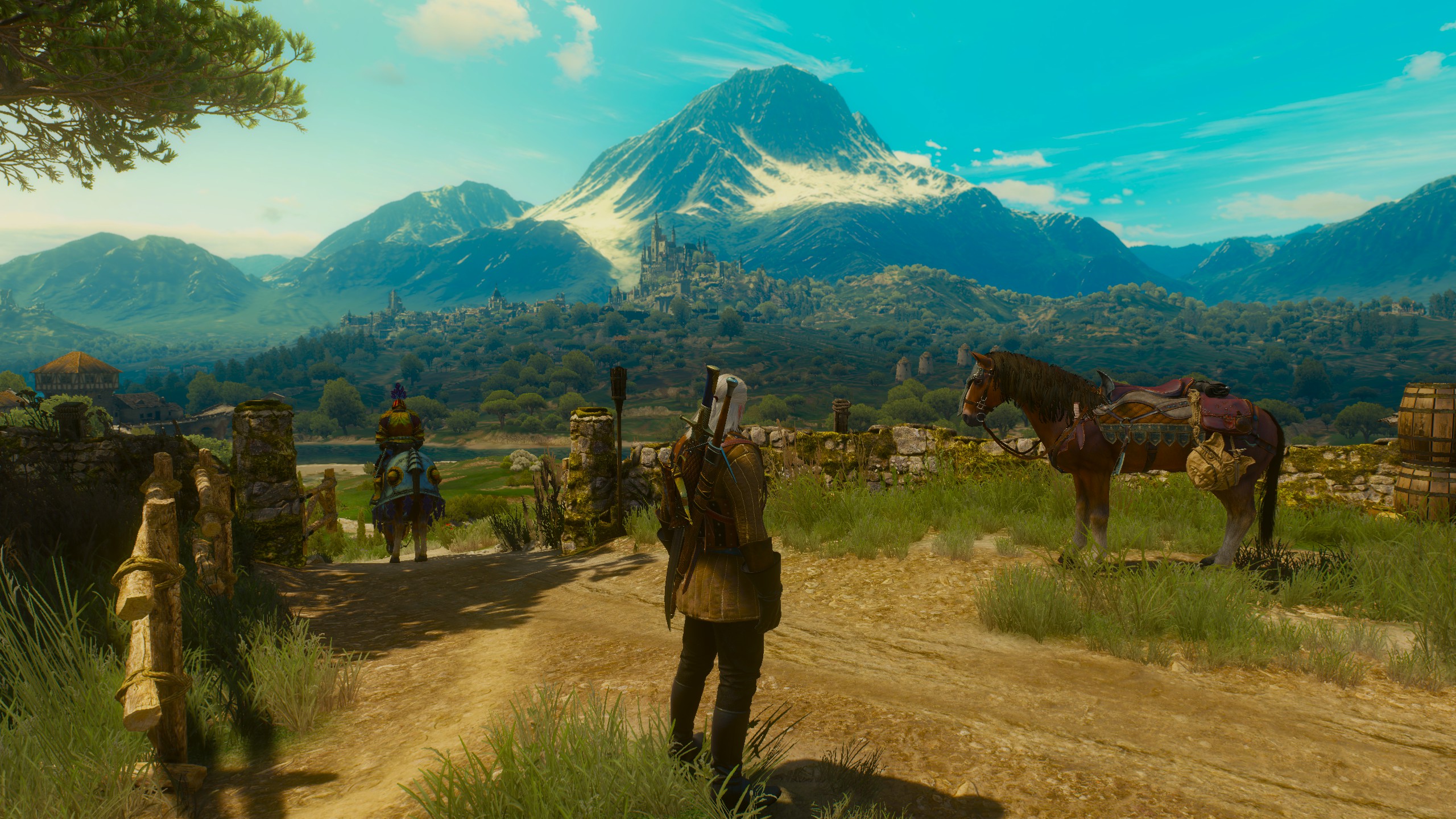 Buy witcher 3 pc download